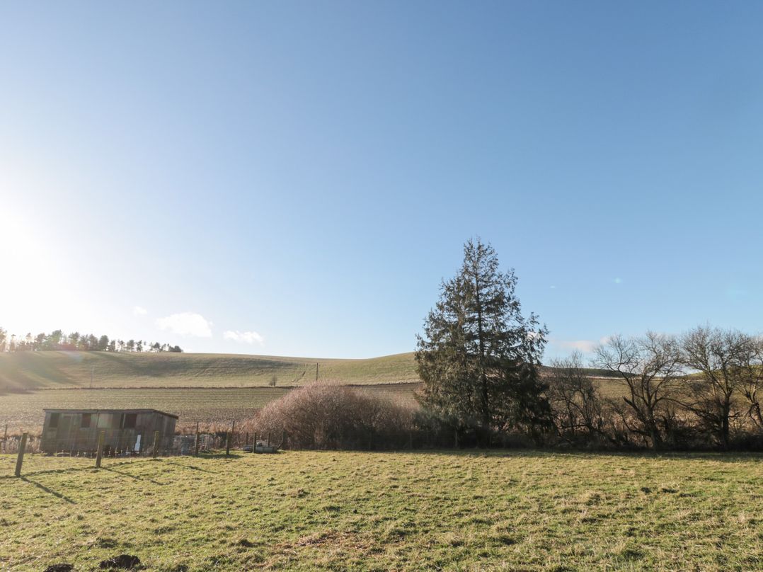 Cheviot View