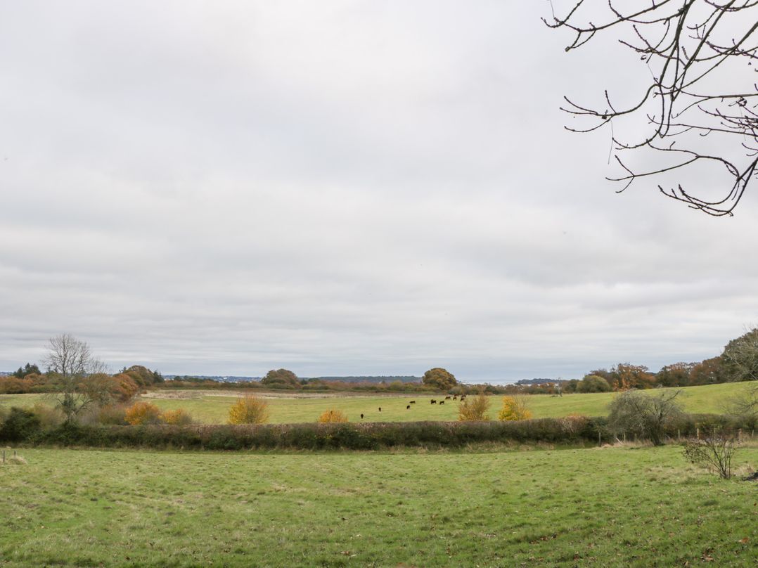 Highbank