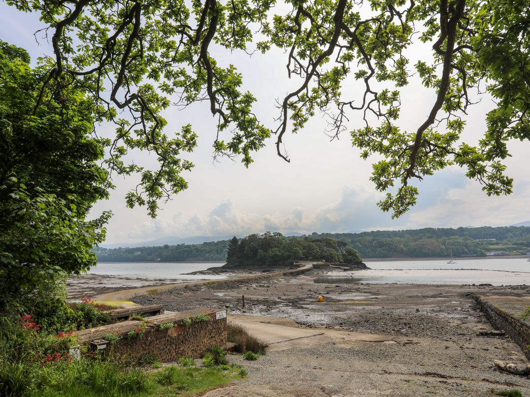Ynys Castell