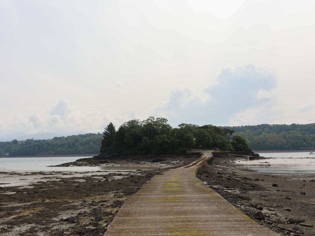 Ynys Castell