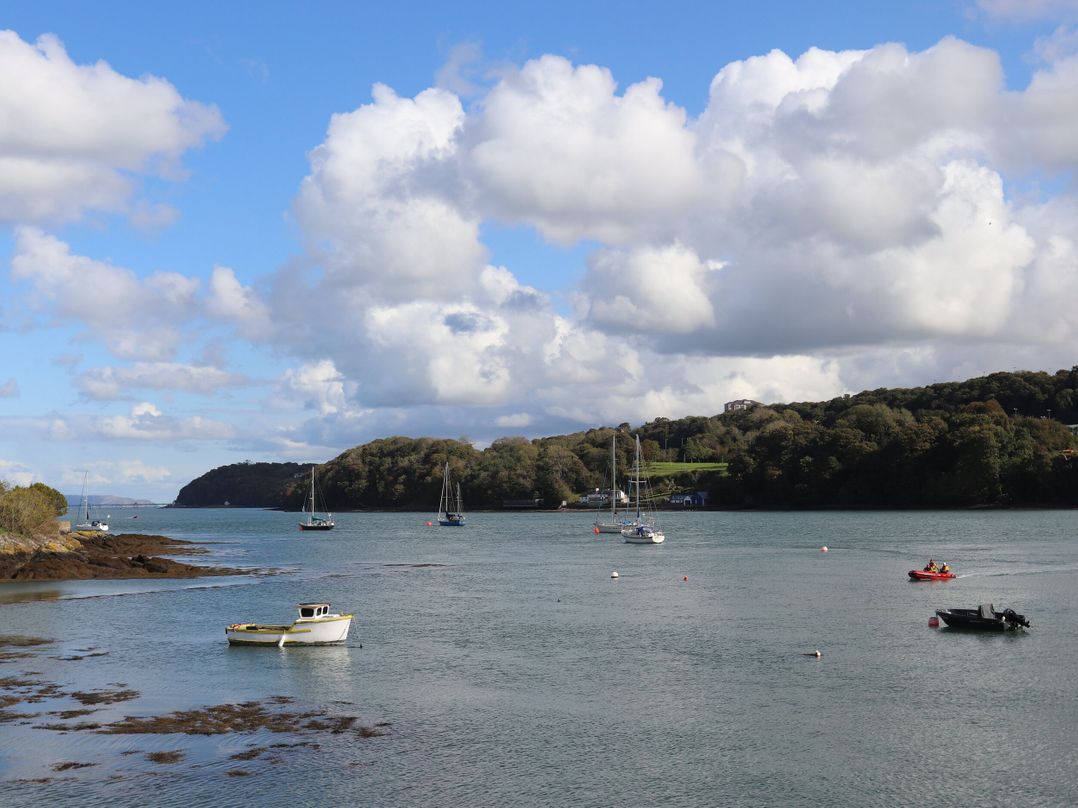 Ynys Castell
