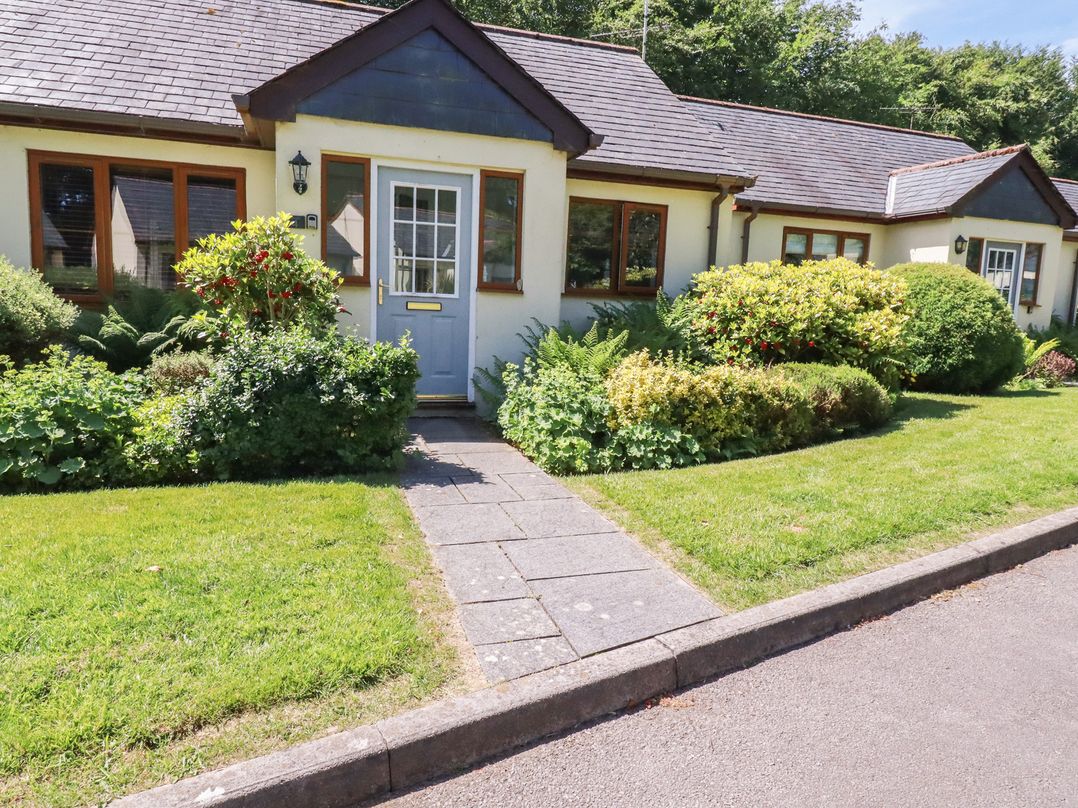 A house with a blue door and gardens at Lilyvale in Davidstow near Camelford