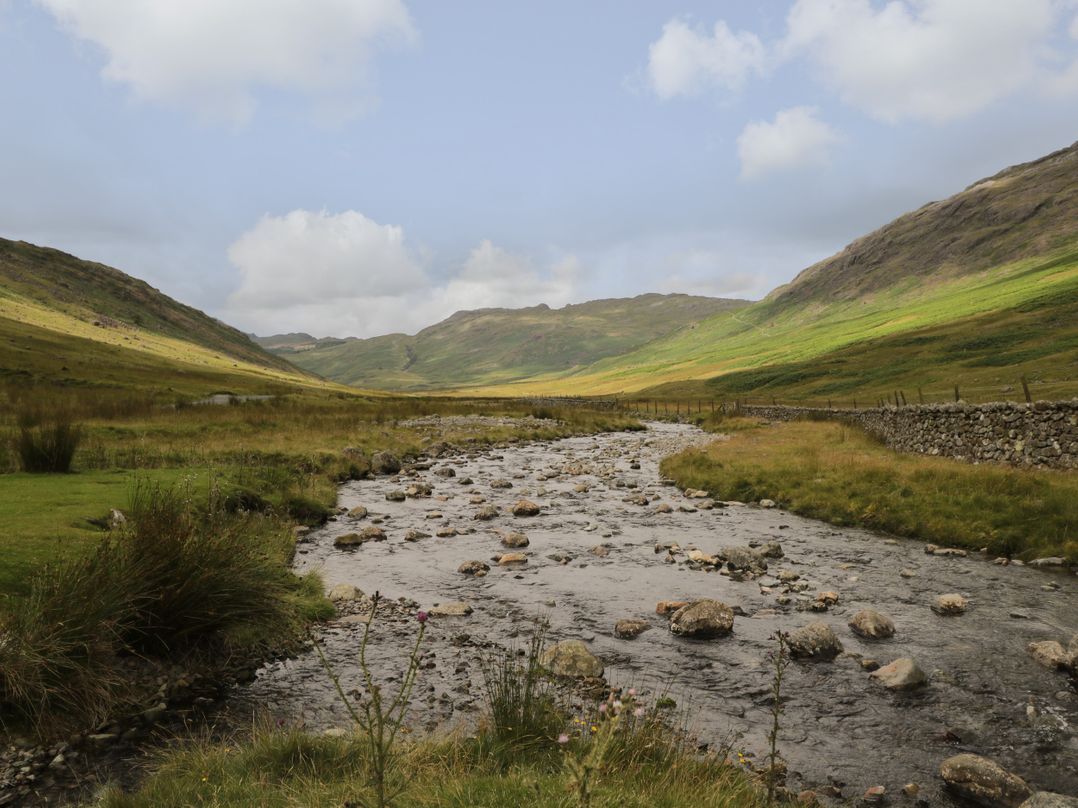 Marsh Garth