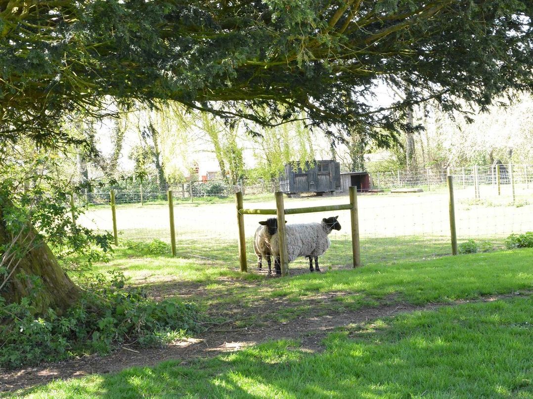 Yew Tree Farm Barn and Stable