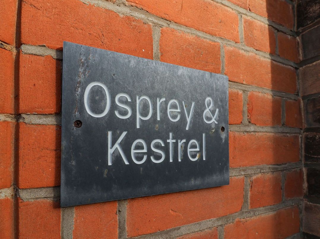 Kestrel and Osprey