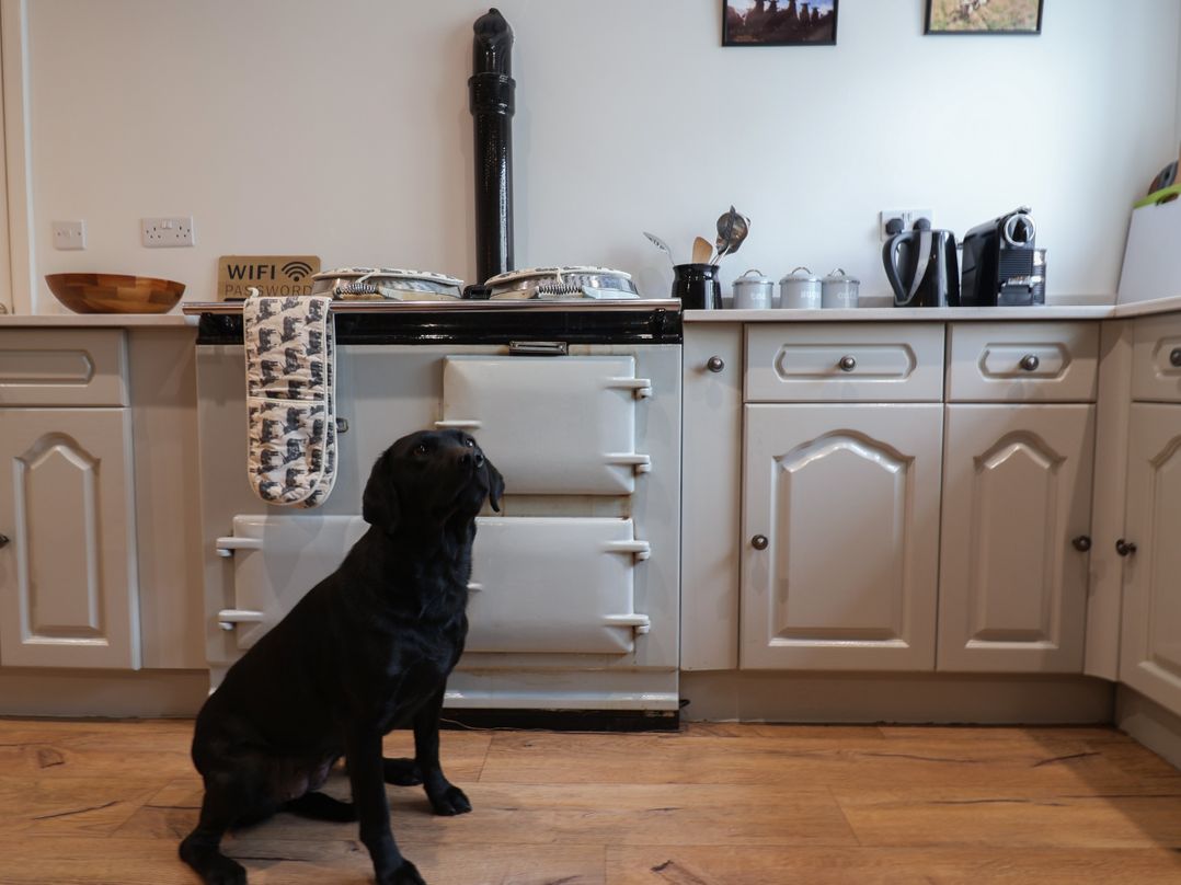 Bedingfield House, nr Debenham