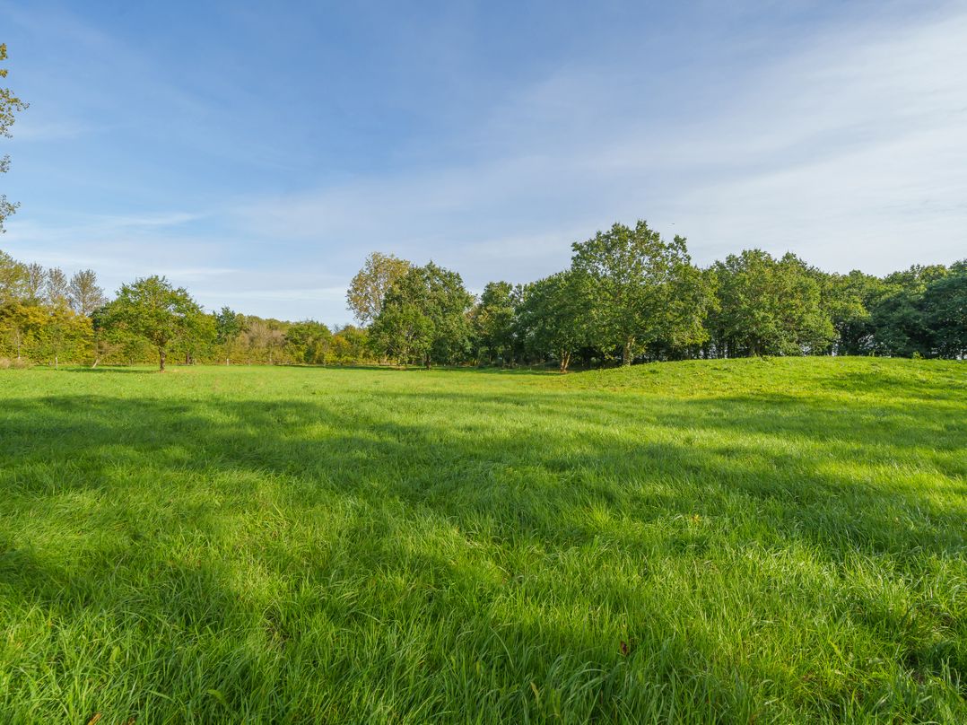 Babbelkous, Bramfield