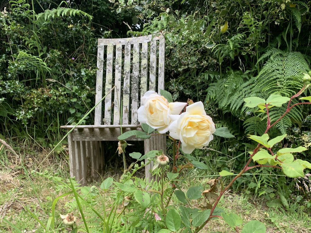 Rose Cottage
