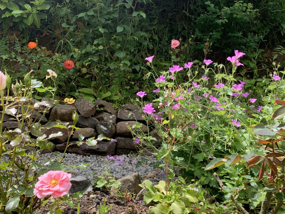 Rose Cottage