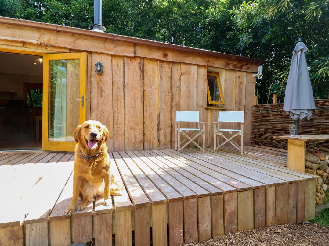 Brambly Cabin