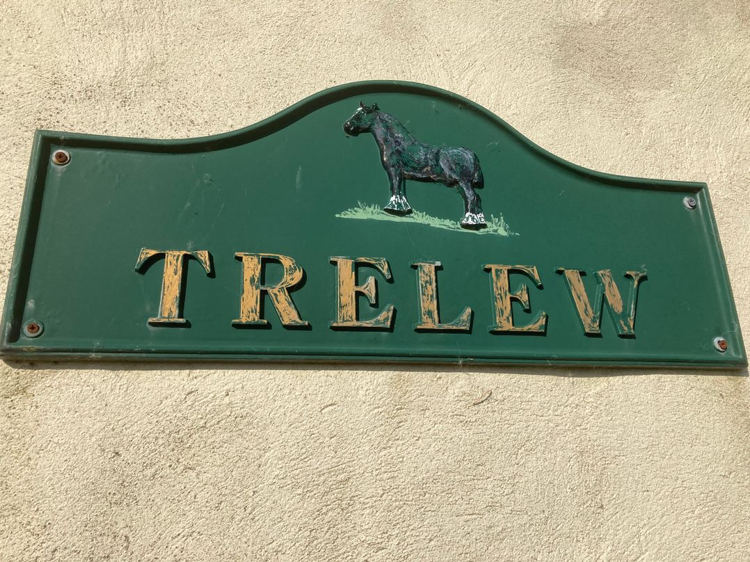 Trelew