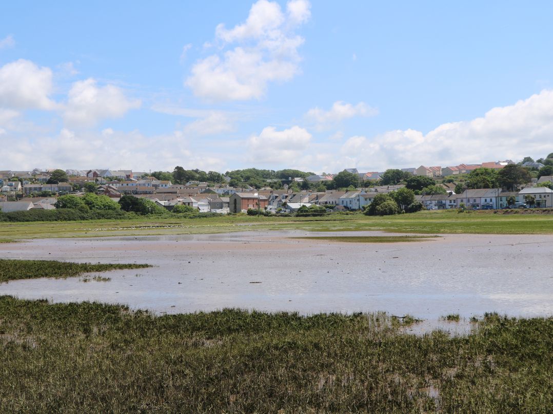 Estuary Watch
