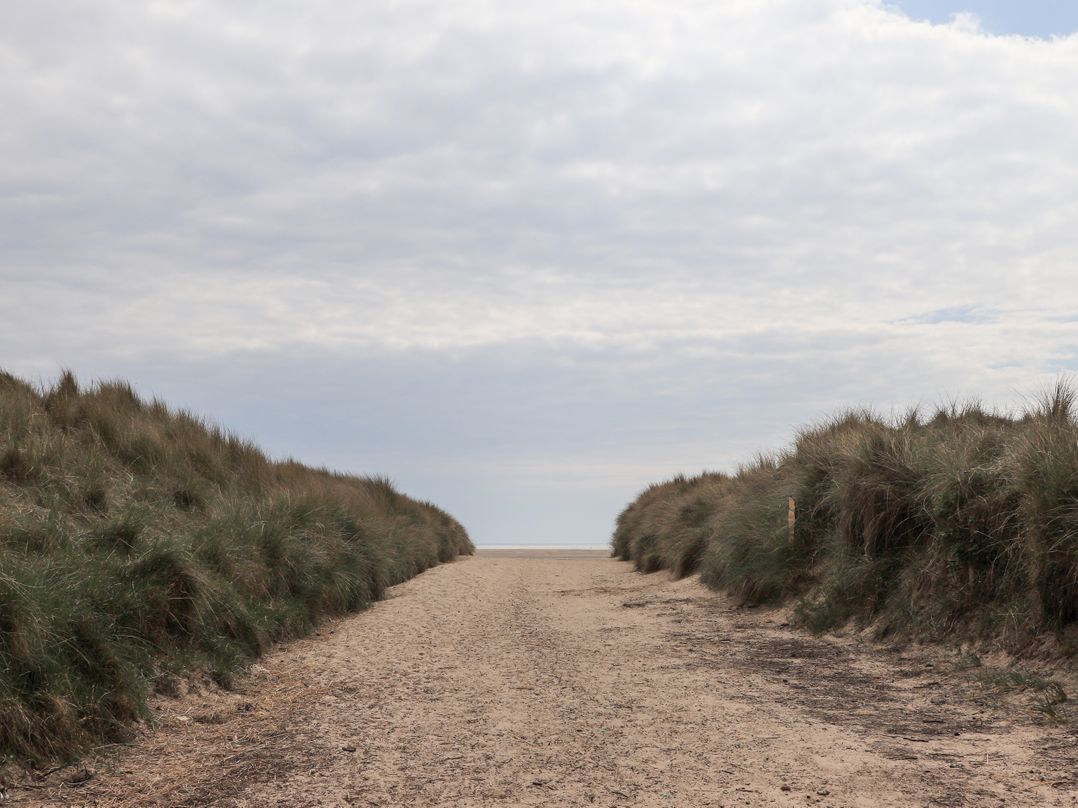 Bryn Berthen