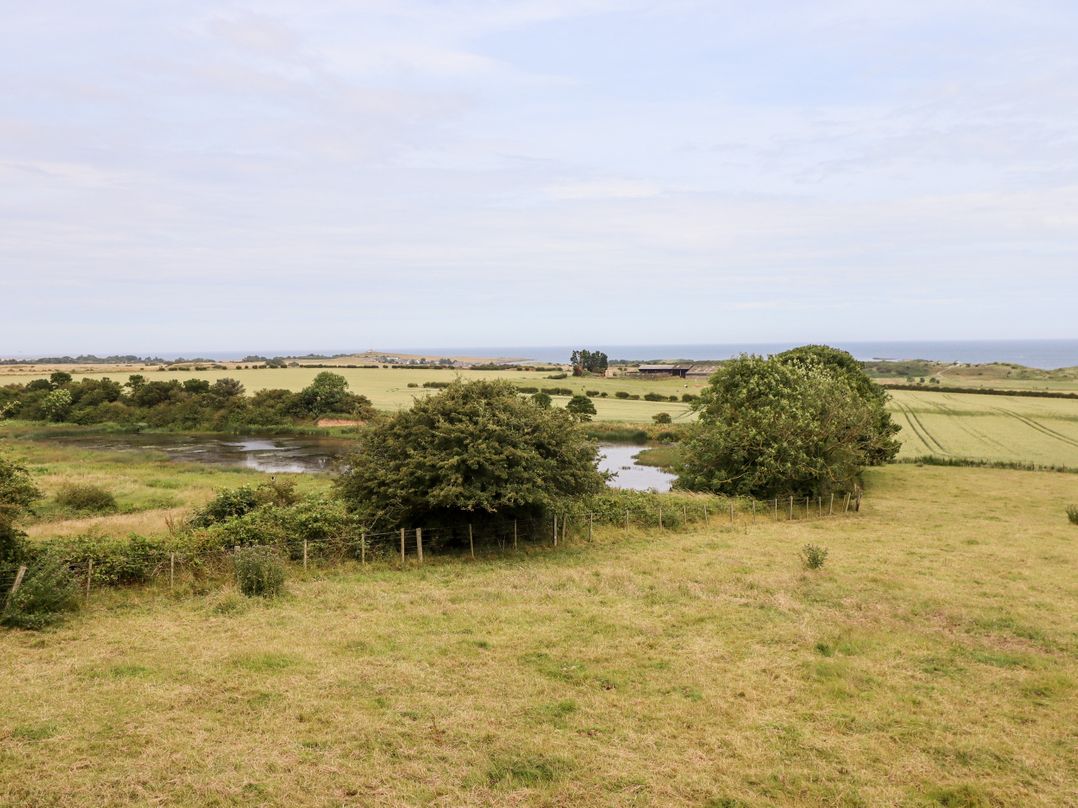Links View