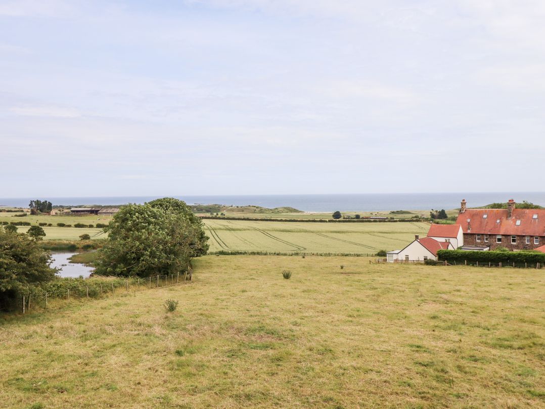Links View