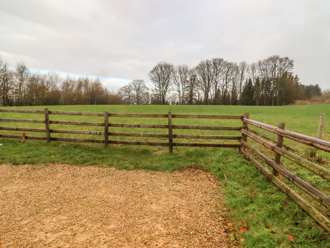 Chestnut 5