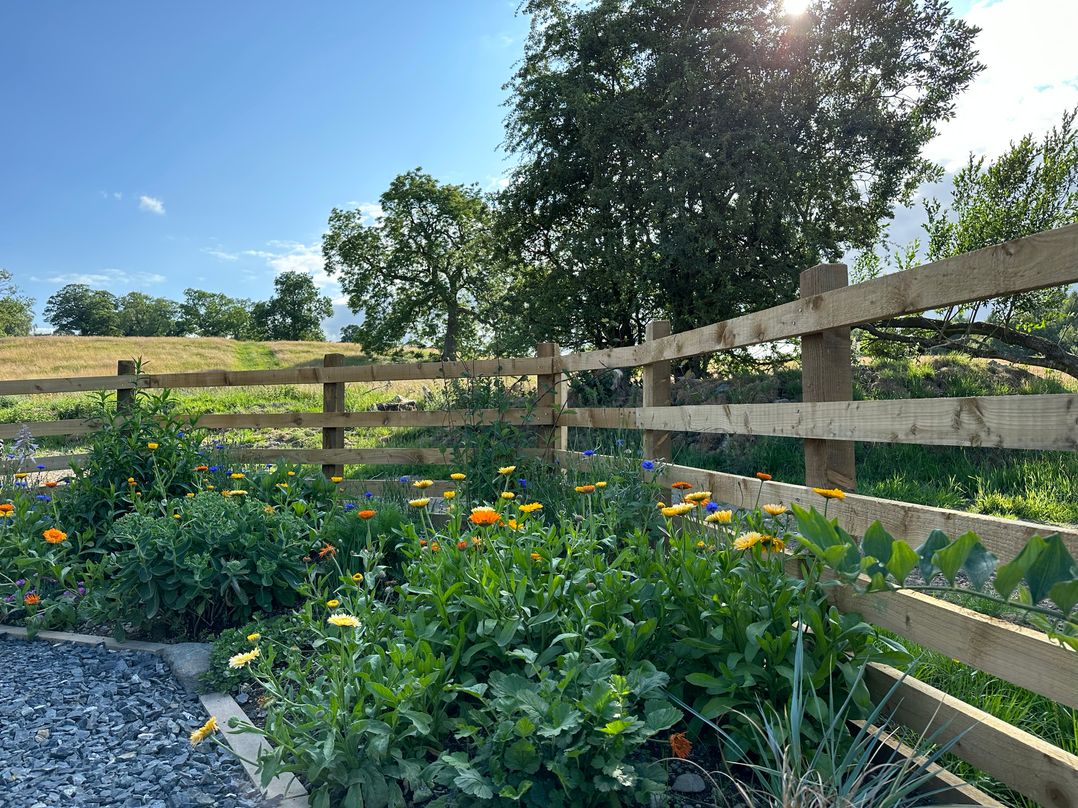 Meadow Syke Byre