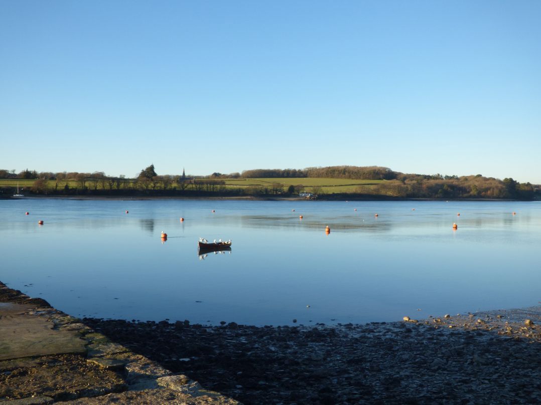 1 Dinas cottages