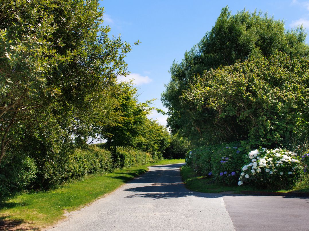 Penmarlam Lodge Retreat 5