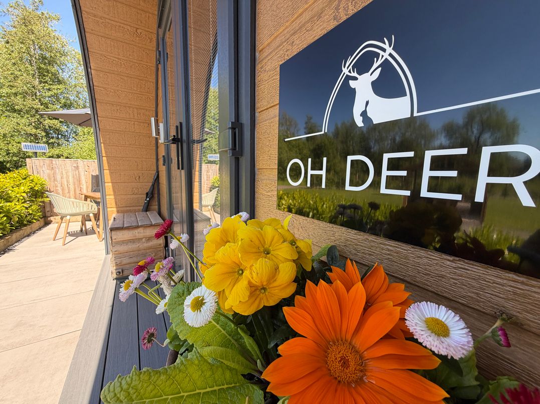 Oh Deer, Ashbourne, Derbyshire