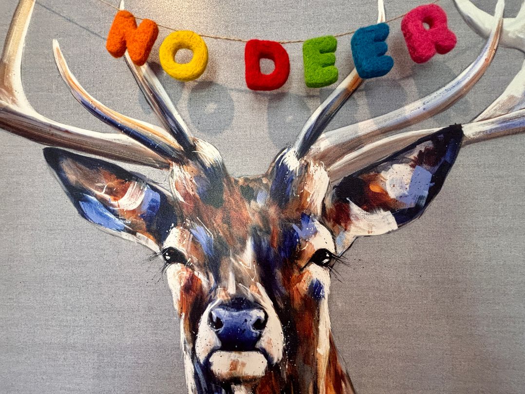 No Deer