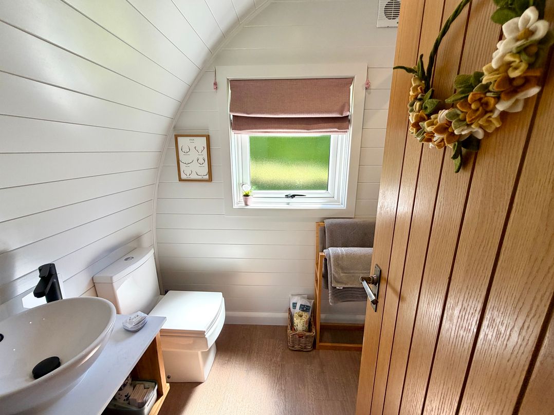 A bathroom with a toilet and sink at No Deer in Ashbourne