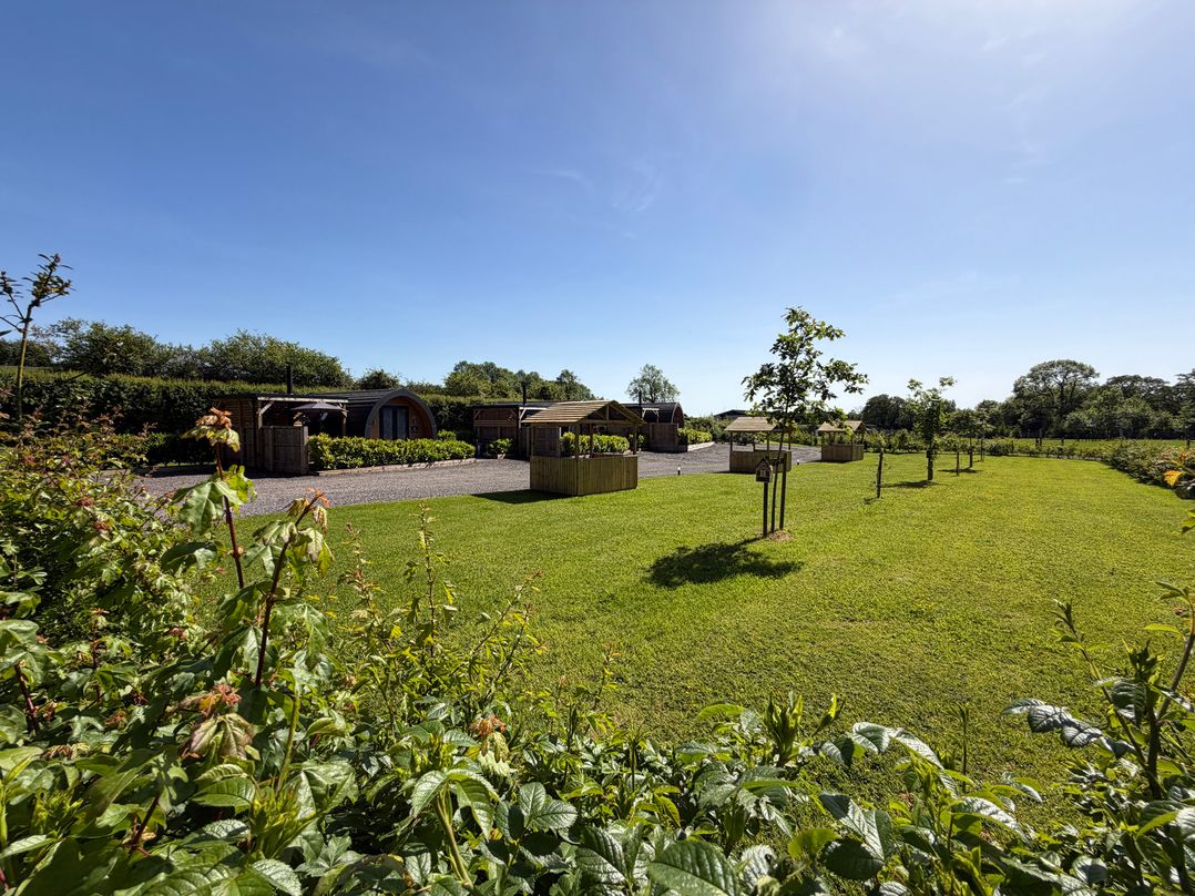 A garden with trees and wooden structures at No Deer in Ashbourne