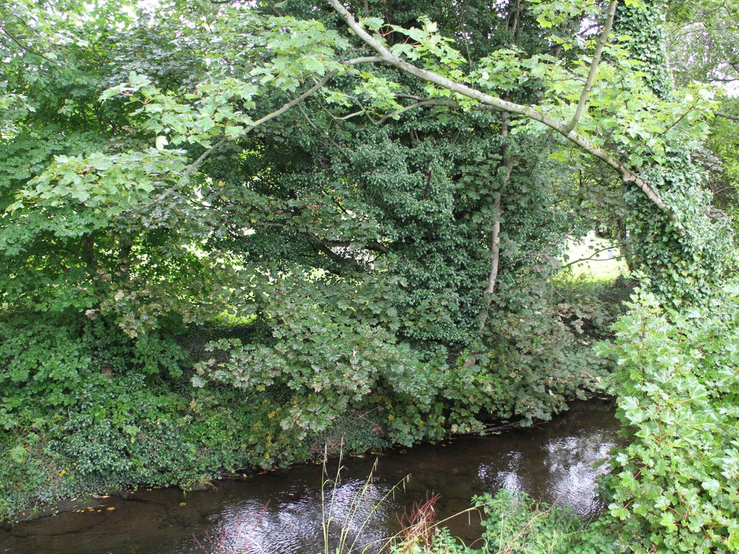 Badgers Sett
