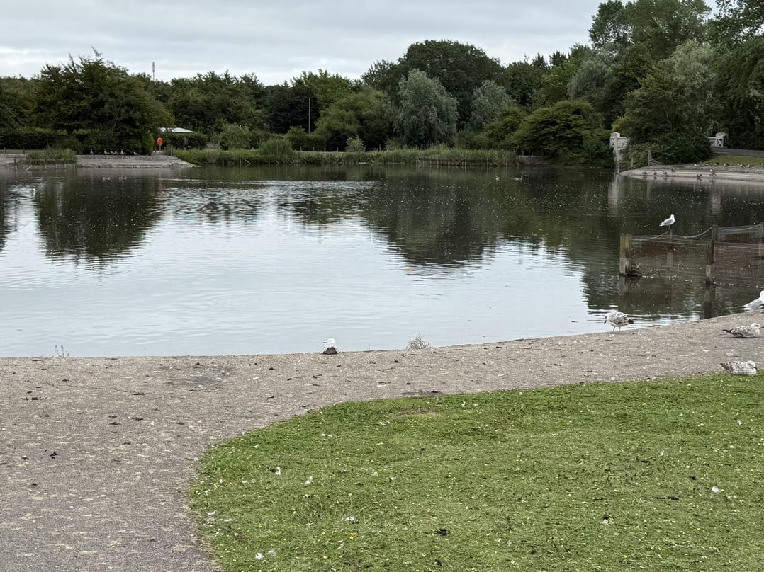 The Furness Haven