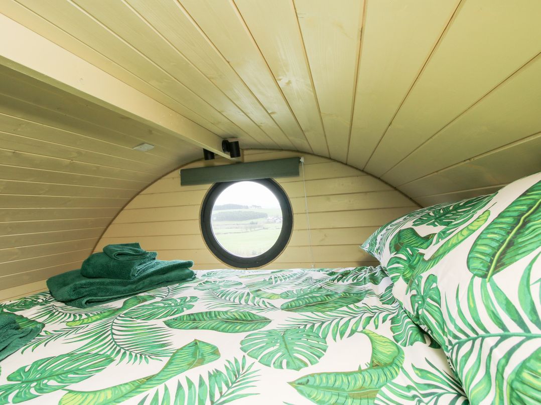 Callow Pod