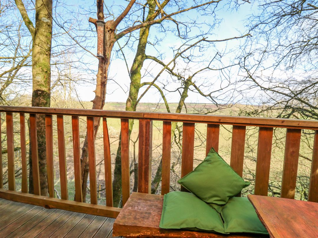 Tree House