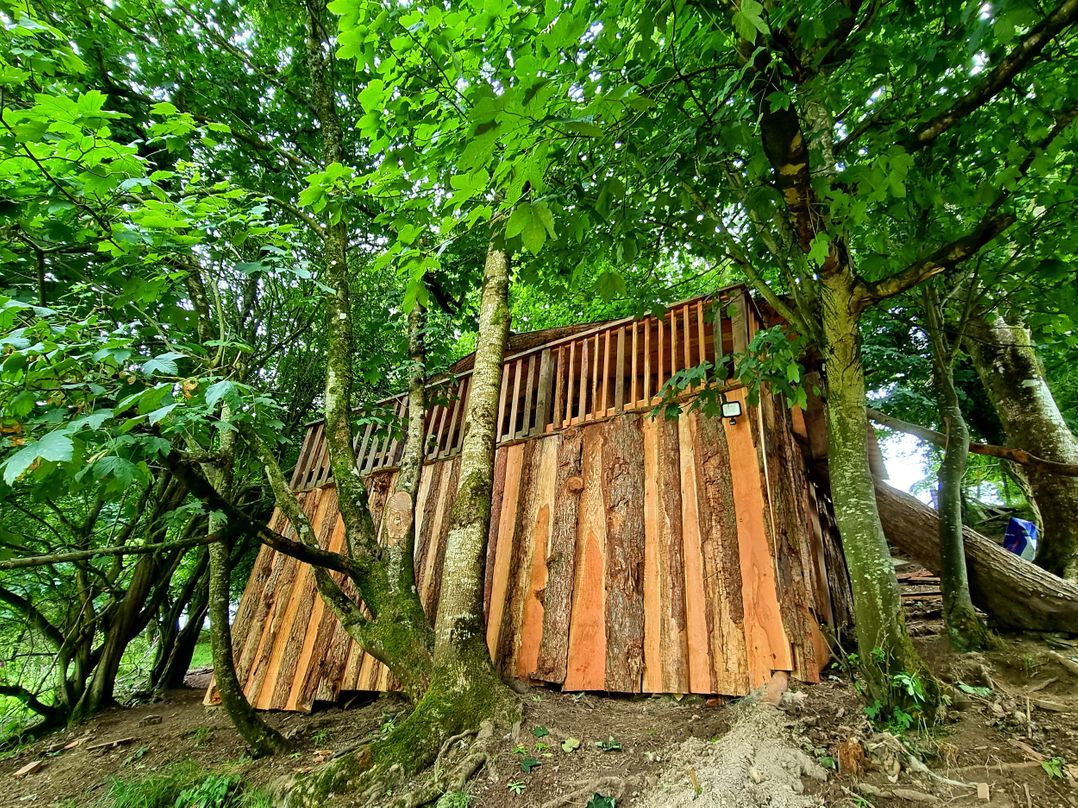 Tree House