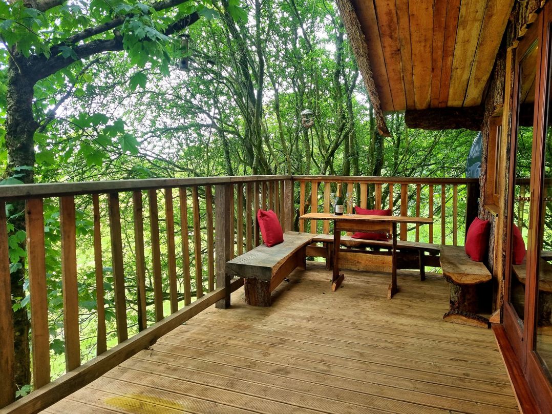 Tree House