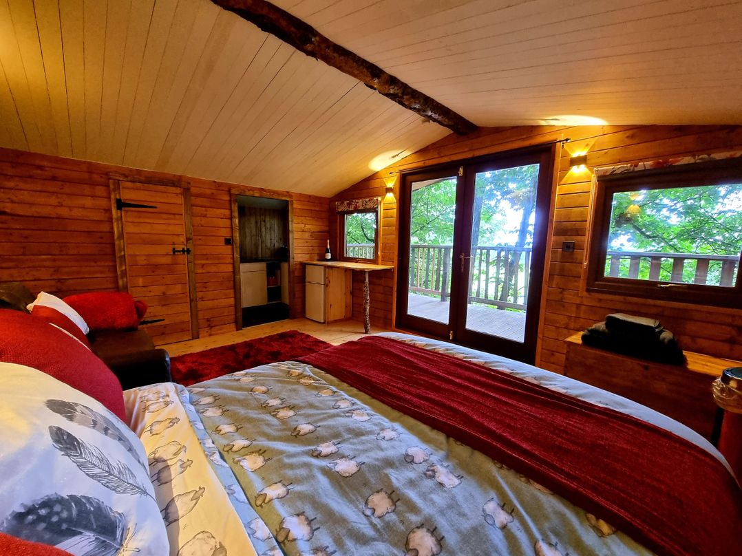 Tree House