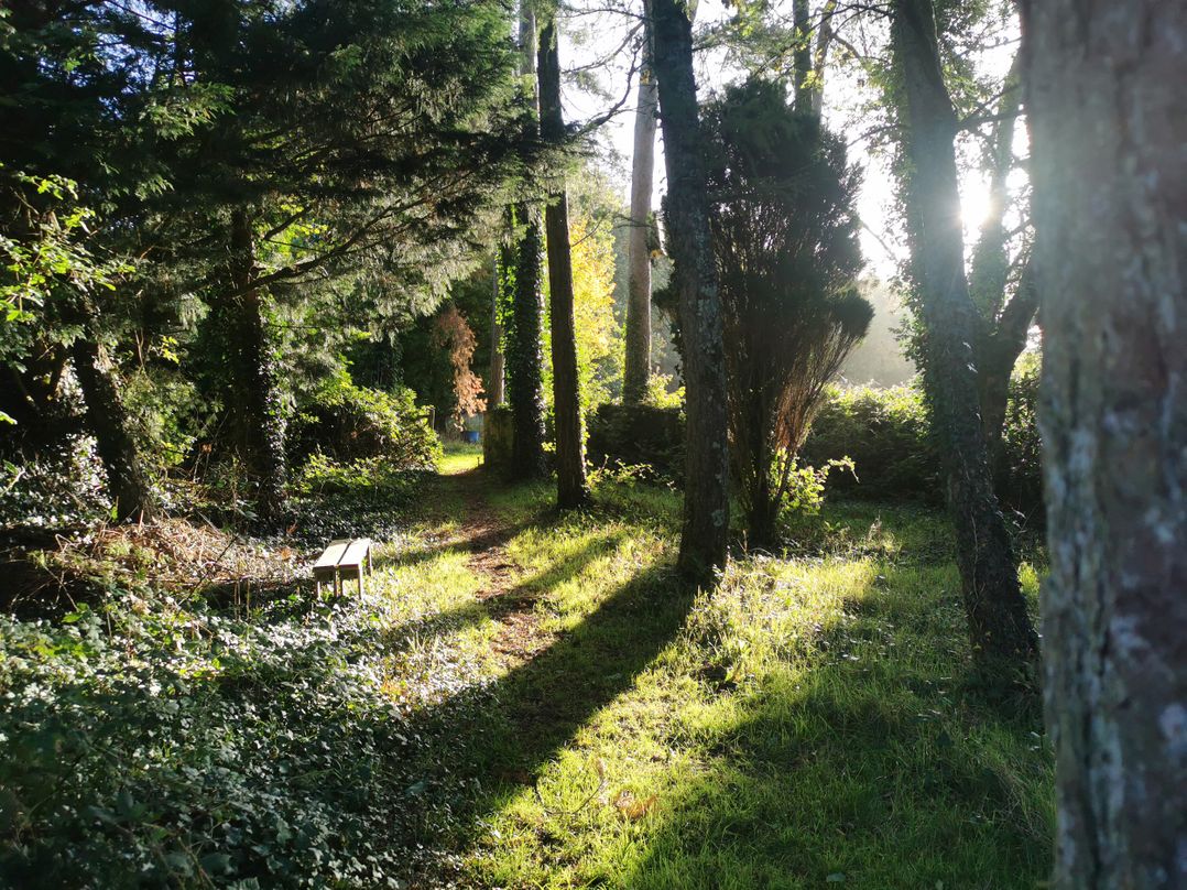 Narracott Down