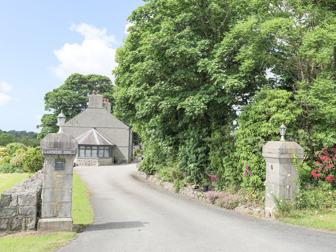 Cae Ffynnon
