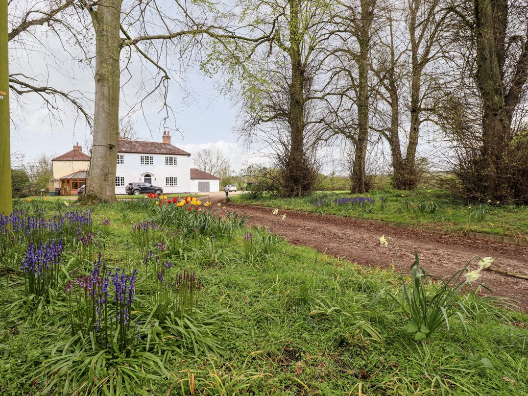 Pat's Cottage