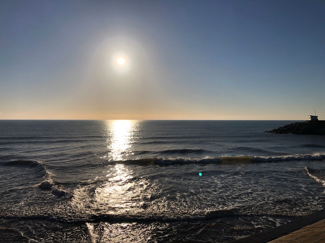 Sunny View