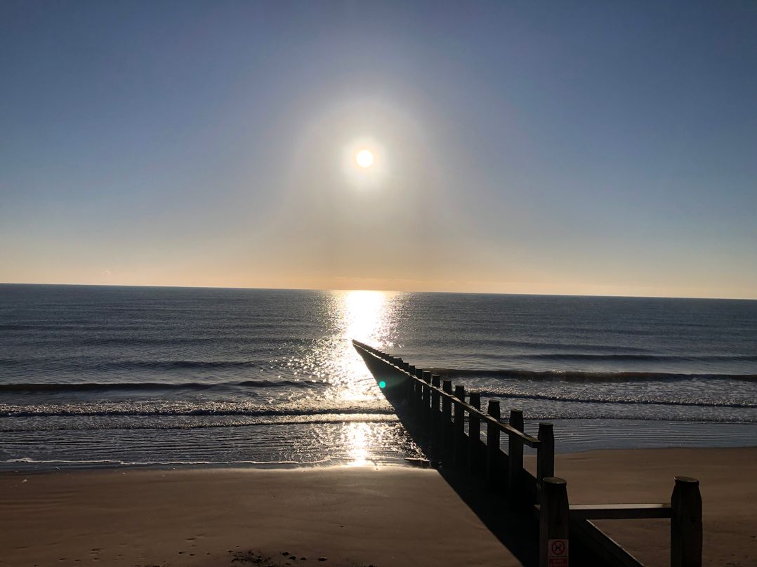 Sunny View