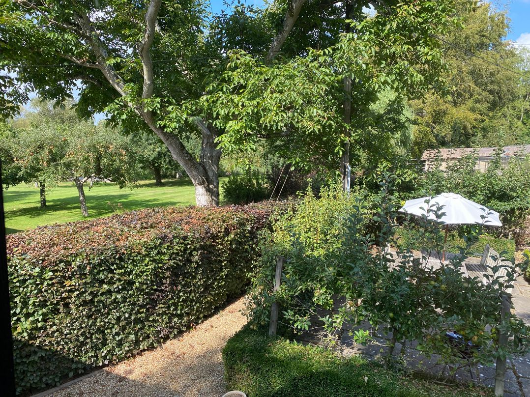 Avon Turn View