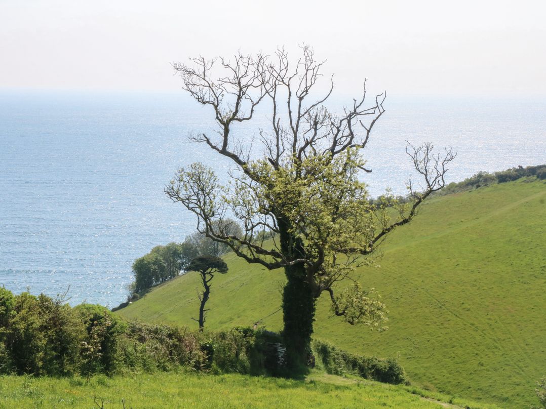 Captain's Lookout