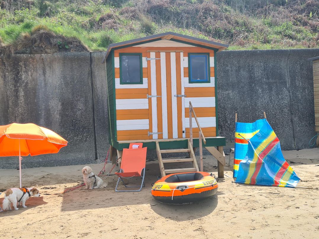 Brigwyn
