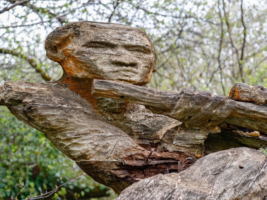 Barberry Brook