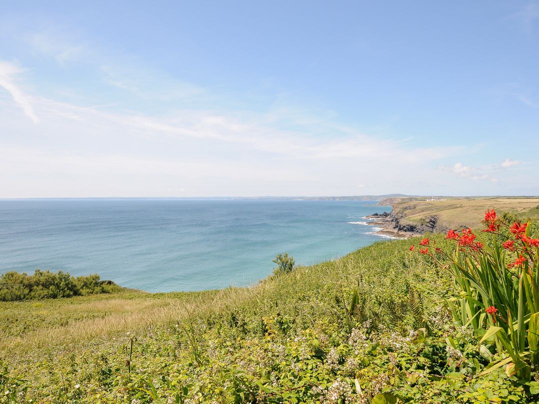 Wheal Dream
