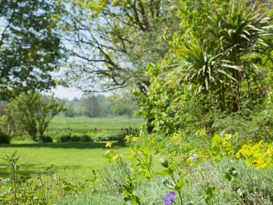 Water Meadow Cottage