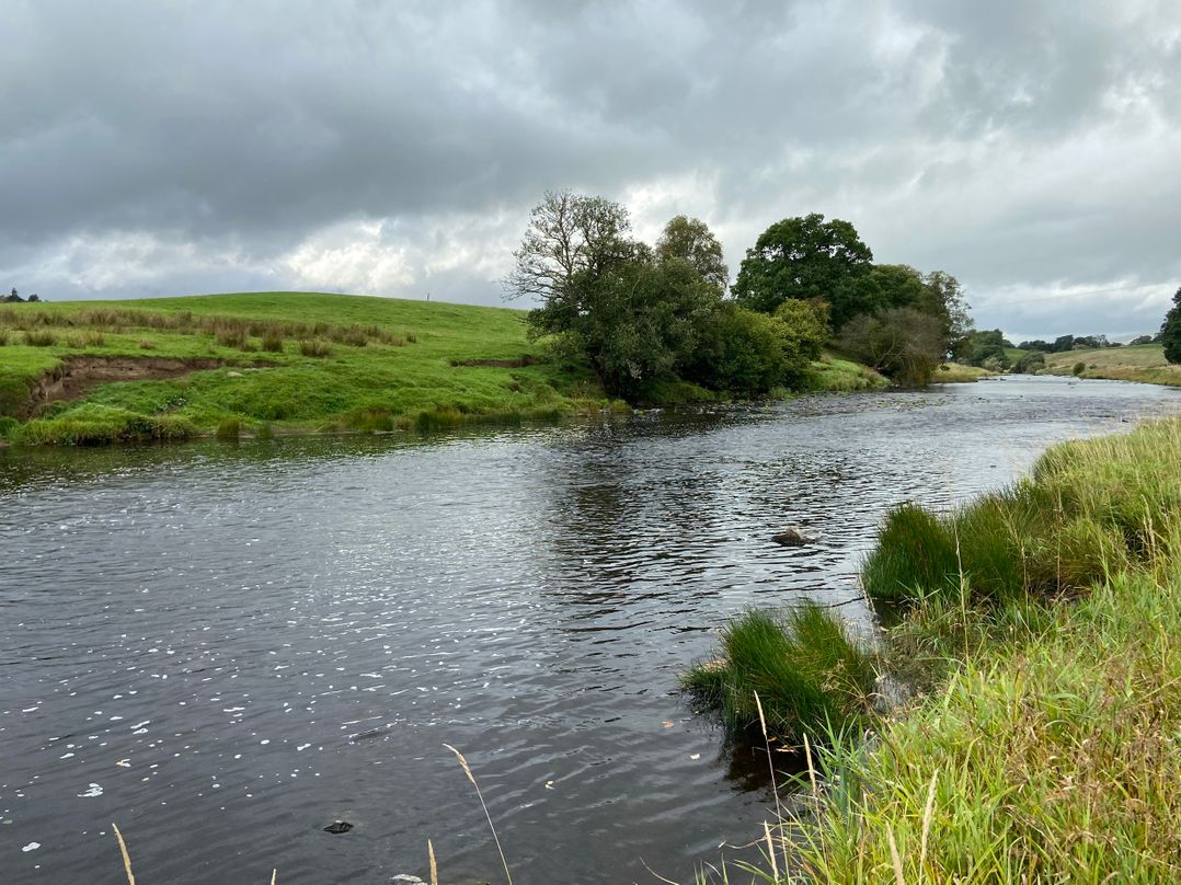 Ryehill with Fishing