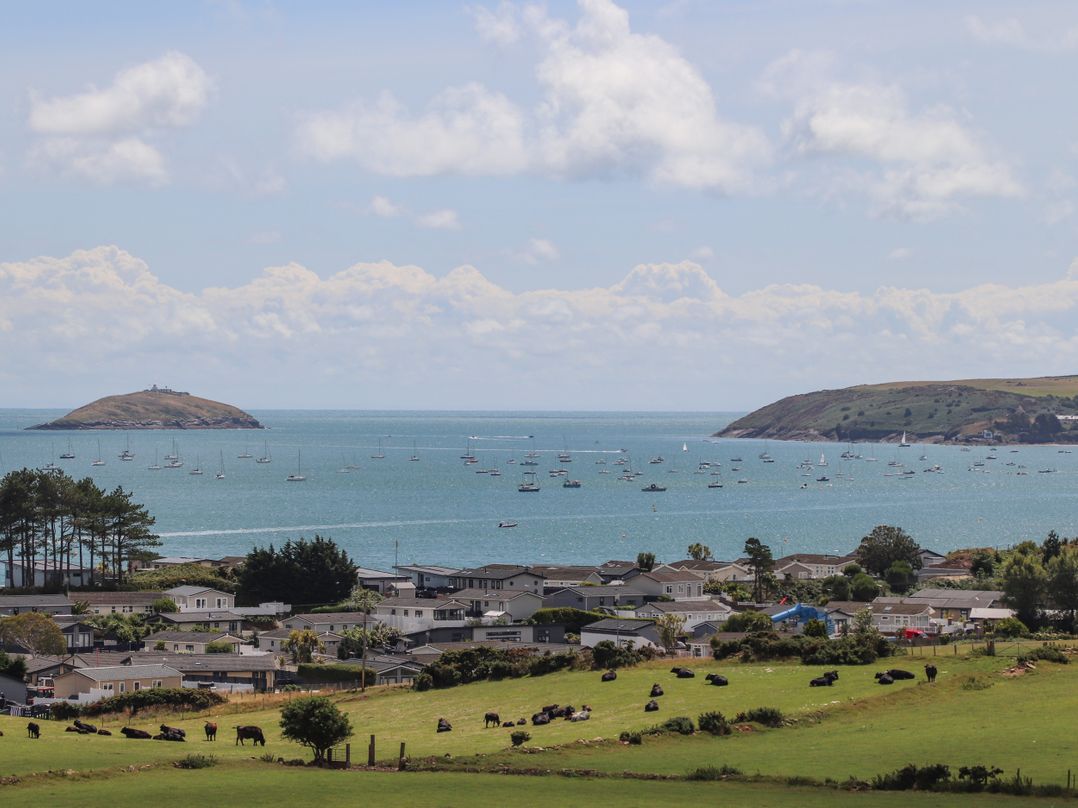 Talgoed