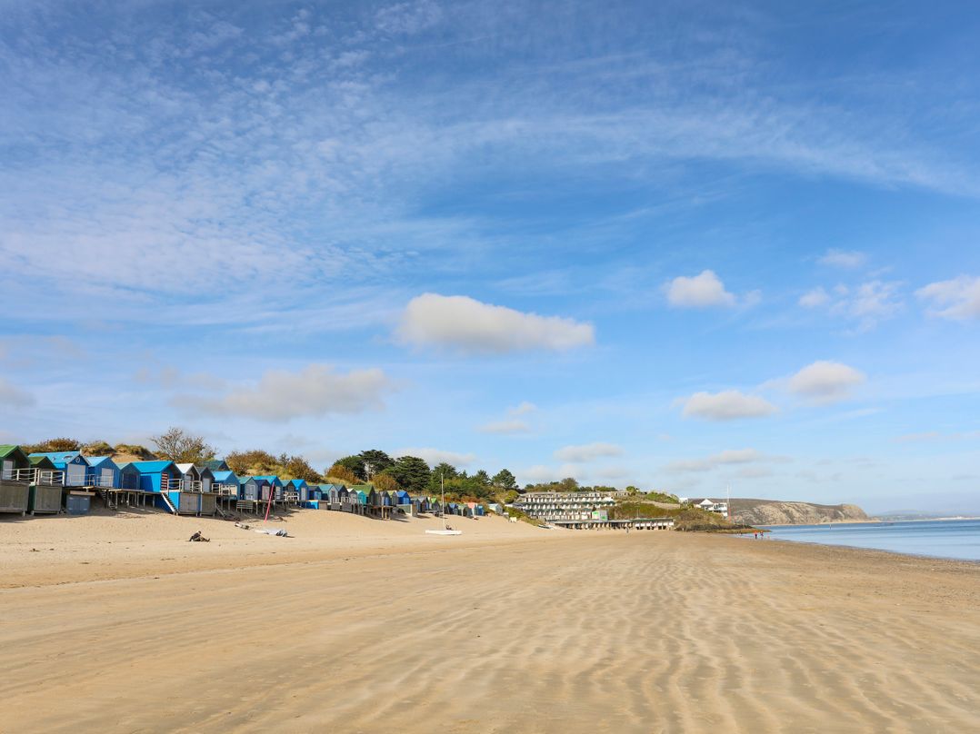 Talgoed