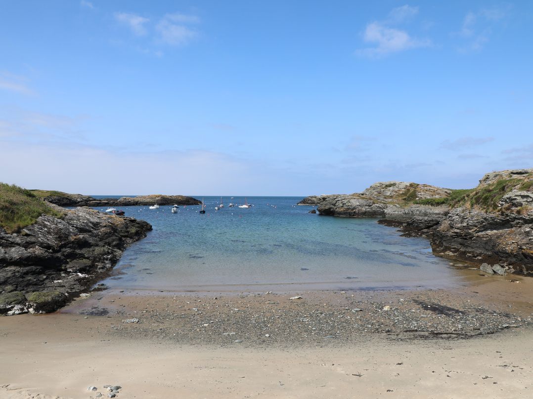 The Cove