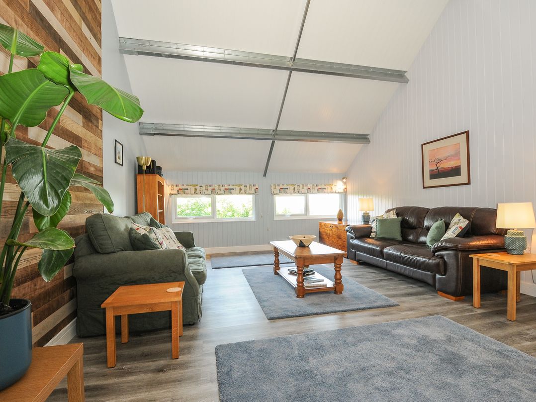 The Shed